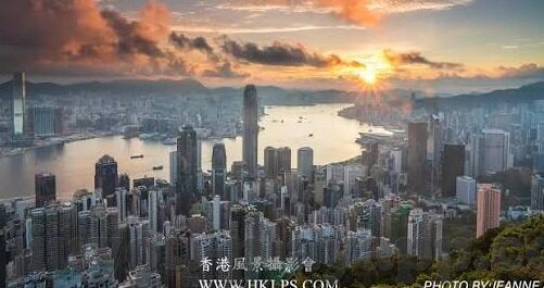 35体育足球比分-35体育足球比分,一场数据背后的激情与策略盛宴
