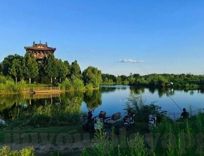 苏黎世足球比分预测-苏黎世足球赛前瞻,比分预测与战术深度剖析